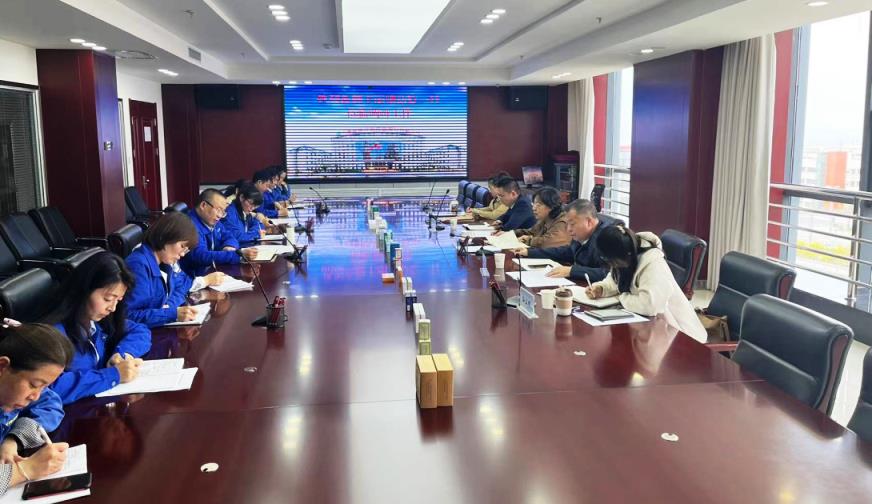 【“三抓三促”進行時】甘肅藥業(yè)集團財務總監(jiān)王麗華一行蒞臨隴神戎發(fā)開展財務專項調(diào)研