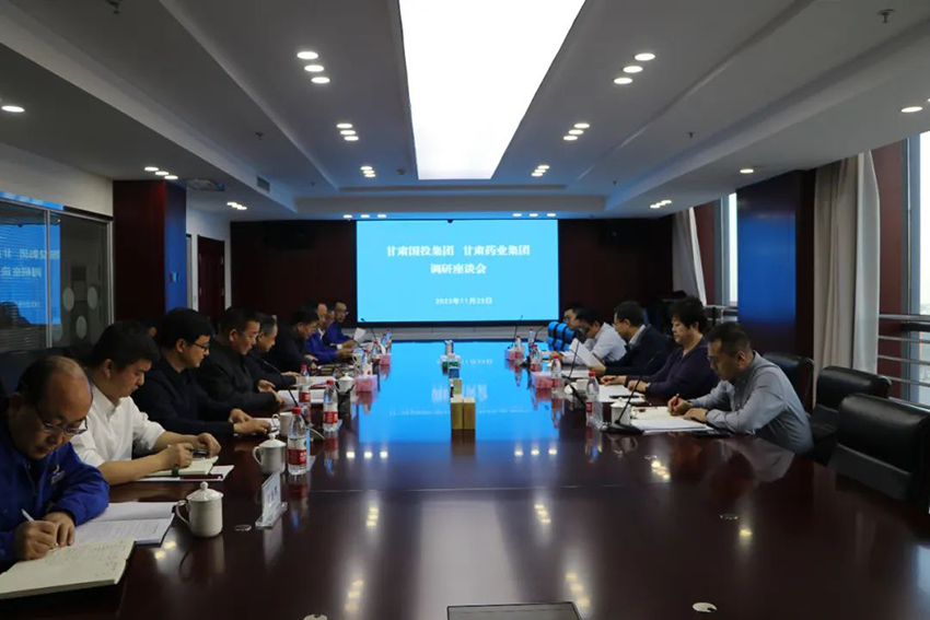 甘肅國投集團一行深入隴神戎發(fā)調研指導工作