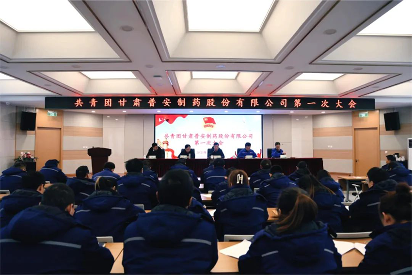 【普安新聞】共青團(tuán)甘肅普安制藥股份有限公司第一次大會(huì)勝利召開