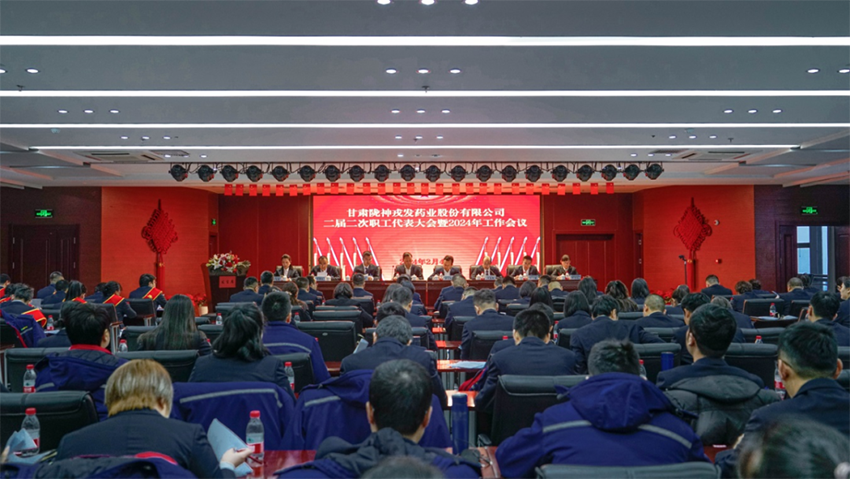 奮戰(zhàn)開門紅｜隴神戎發(fā)：錨定目標抓落實，砥礪前行譜新篇，奮力開創(chuàng)高質(zhì)量發(fā)展新局面