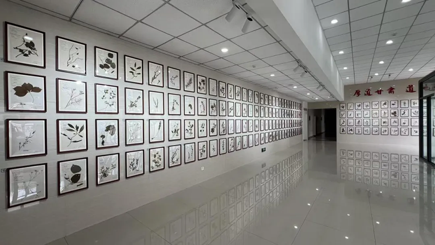 再添殊榮！甘肅隴神戎發(fā)藥業(yè)股份有限公司獲評(píng)甘肅省中醫(yī)藥文化宣傳教育基地