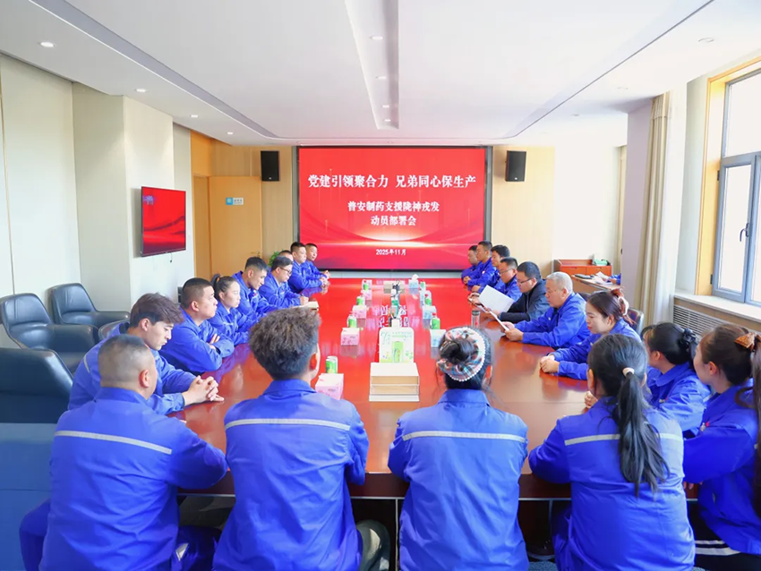 【普安新聞】黨建引領(lǐng)聚合力 兄弟同心保生產(chǎn)——普安制藥黨員職工突擊隊(duì)馳援隴神戎發(fā)生產(chǎn)一線