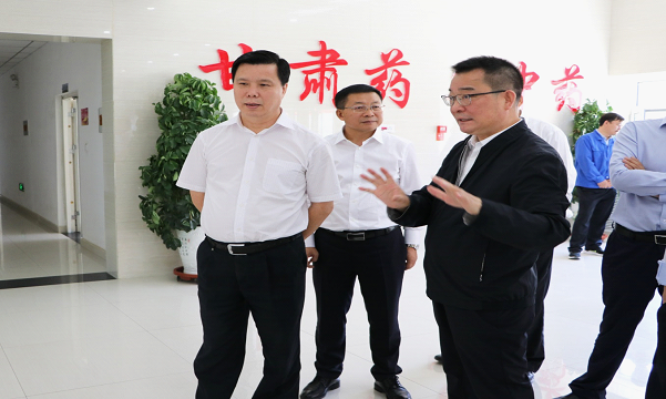 國家發(fā)改委財金司司長陳洪宛一行蒞臨隴神戎發(fā)考察調(diào)研