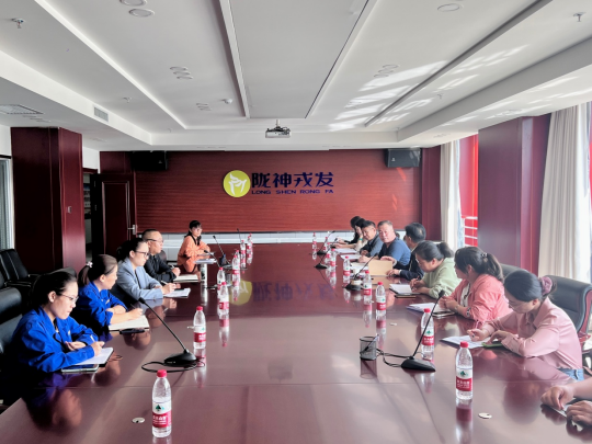 甘肅藥業(yè)投資集團(tuán)工作組一行到隴神戎發(fā)開展研發(fā)費(fèi)用專項(xiàng)檢查